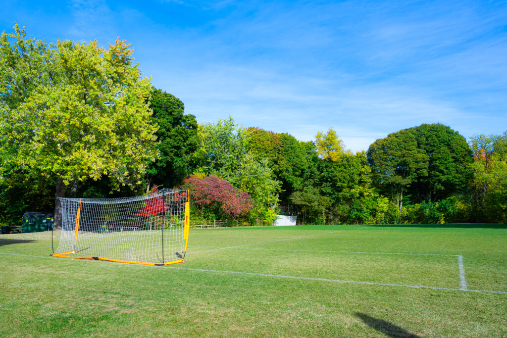 Havergal's Lower Pitch with lines and a soccer net.