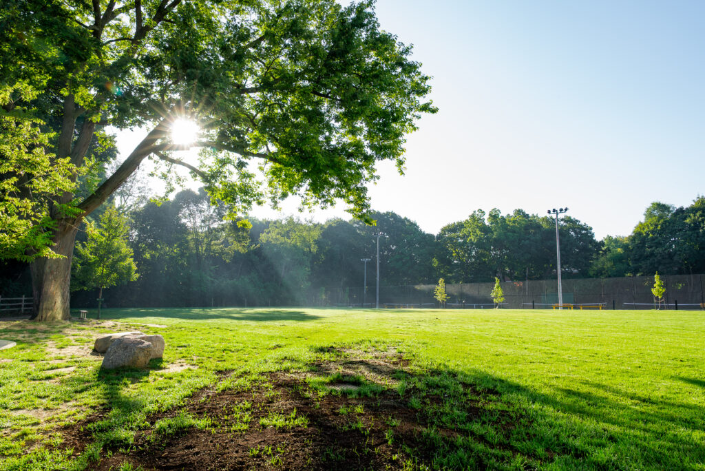 Havergal's Lower Pitch.