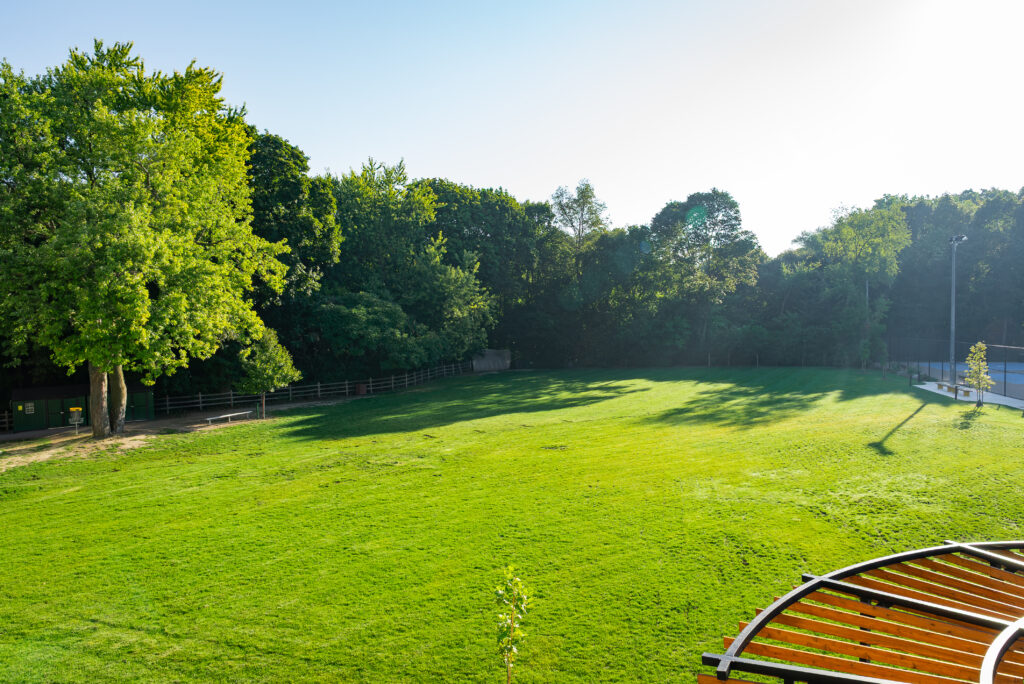 Havergal's Lower Pitch.