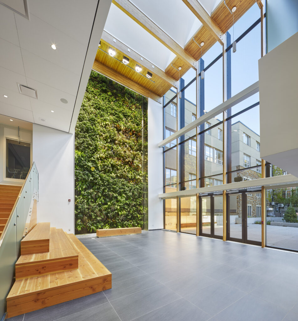 The Learning Commons with a view of the BioWall.